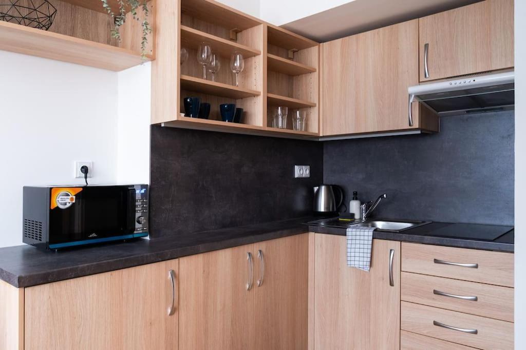 Studio Apartment In Brno-Center Екстер'єр фото